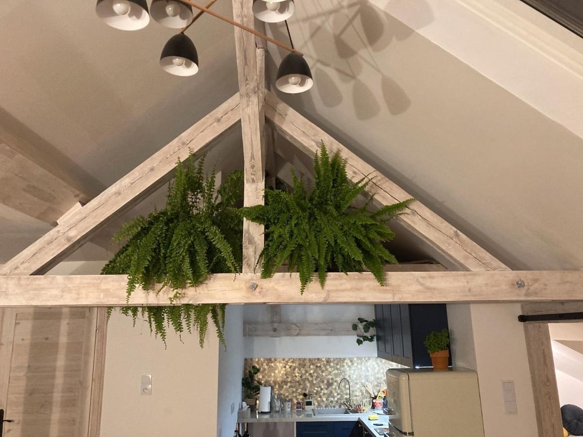 Attic Appart Stary Toruń Kültér fotó
