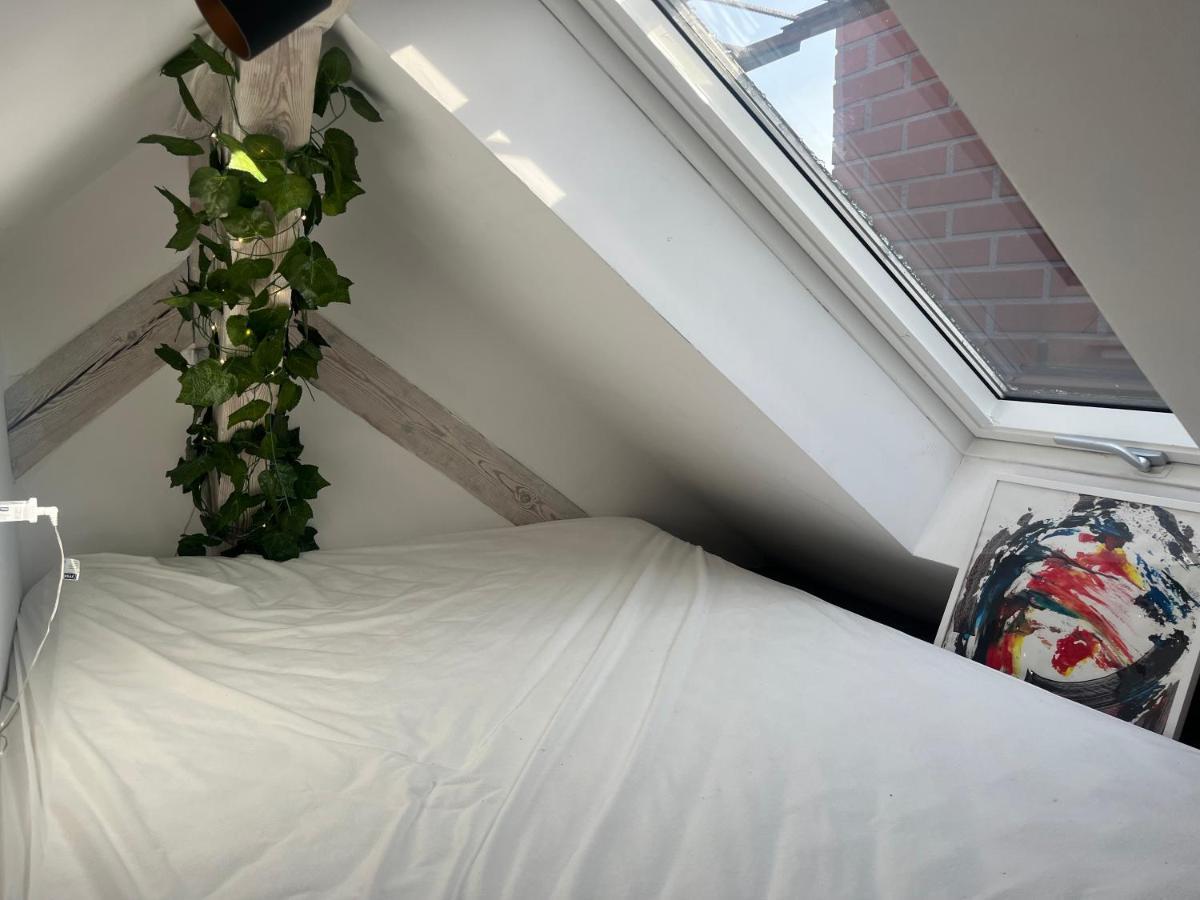 Attic Appart Stary Toruń Kültér fotó