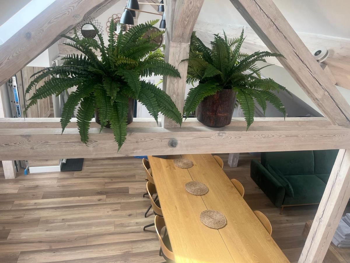 Attic Appart Stary Toruń Kültér fotó