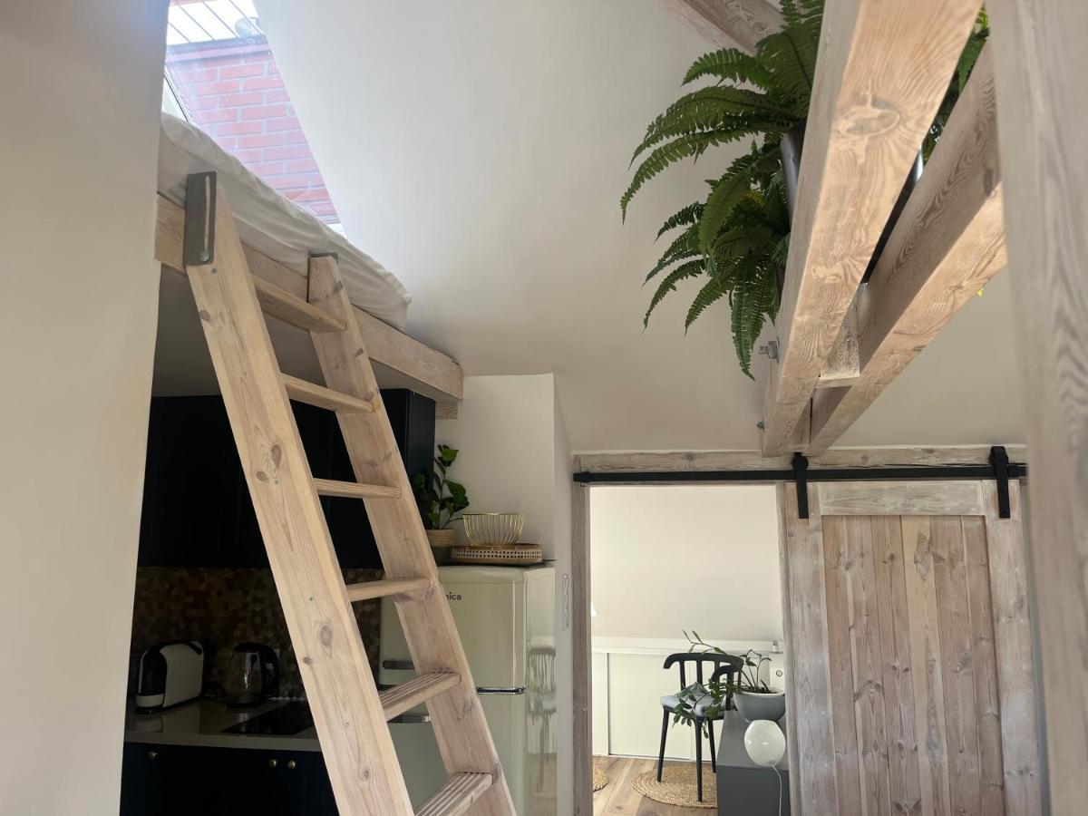 Attic Appart Stary Toruń Kültér fotó